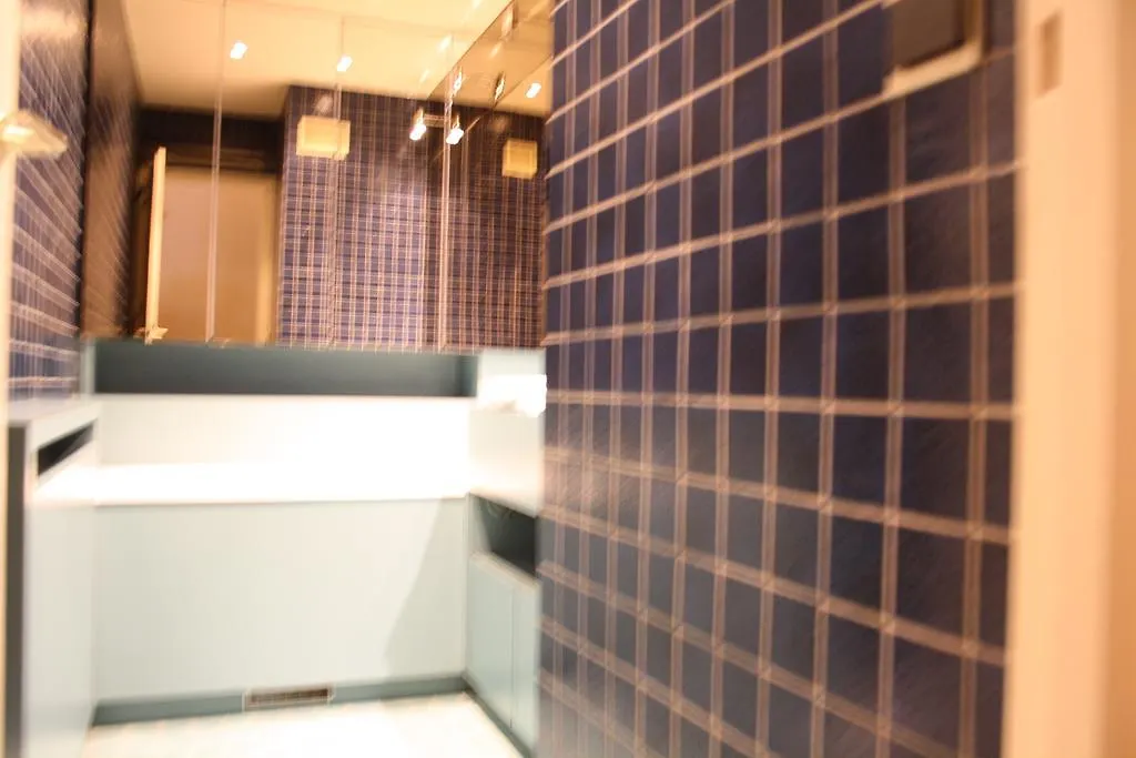 Richelieu Apartment *